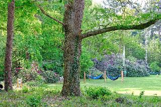 Landgoedhotel Woodbrooke fotoÄŸrafÄ±