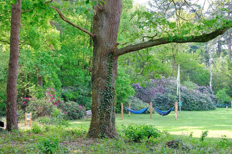 Landgoedhotel Woodbrooke - Genel
