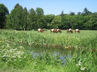 Landgoedhotel Woodbrooke fotoÄŸrafÄ±
