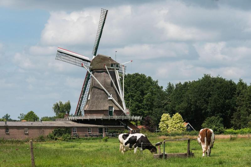 Landgoedhotel Woodbrooke - Genel