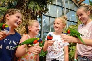 Van der Valk Hotel Avifauna fotoÄŸrafÄ±