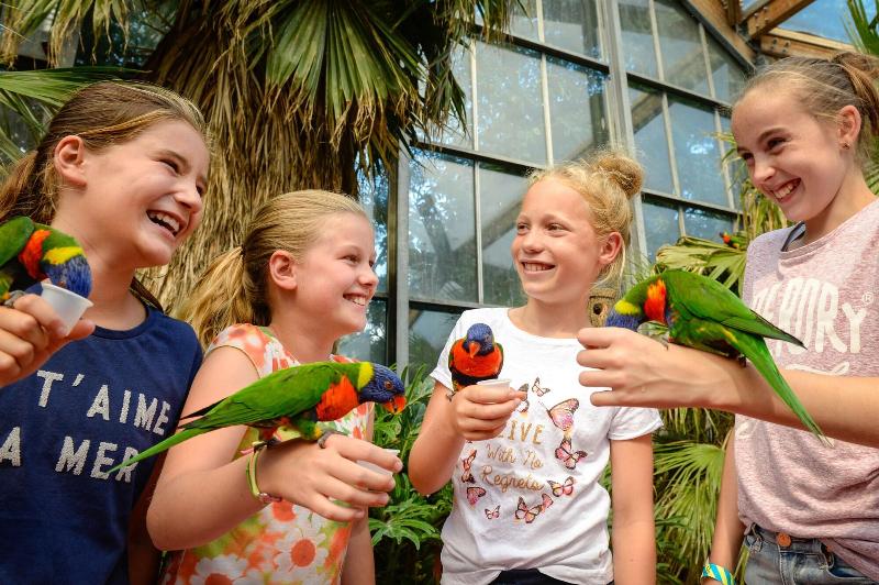 Van der Valk Hotel Avifauna - Aktivite