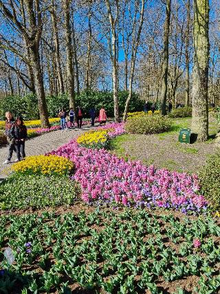 Van der Valk Hotel Avifauna fotoÄŸrafÄ±