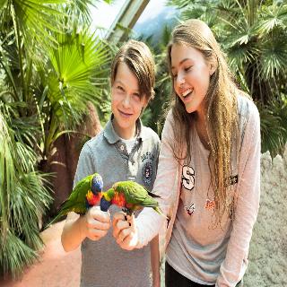 Van der Valk Hotel Avifauna fotoÄŸrafÄ±