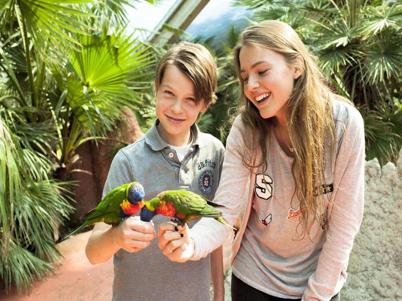 Van der Valk Hotel Avifauna - Genel