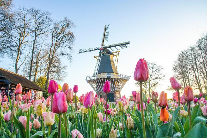 Van Der Valk Hotel Den Haag Wassenaar - Genel