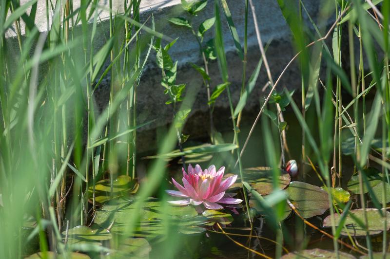 Logis Hotel le Fiacre - Genel