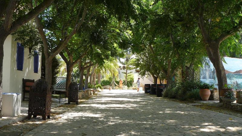 Paraiso Perdido - Genel