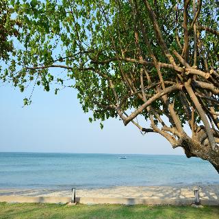 Kacha Resort and Spa Koh Chang fotoÄŸrafÄ±