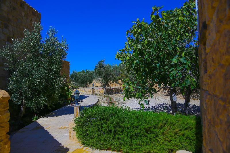 Old Village Resort-Petra - Genel