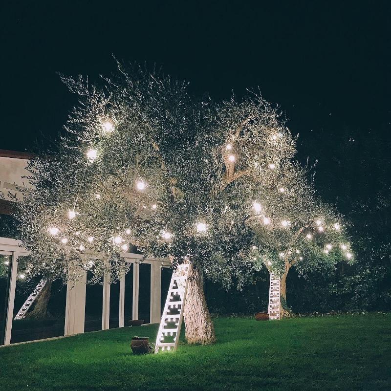 Masseria Serritella - Genel