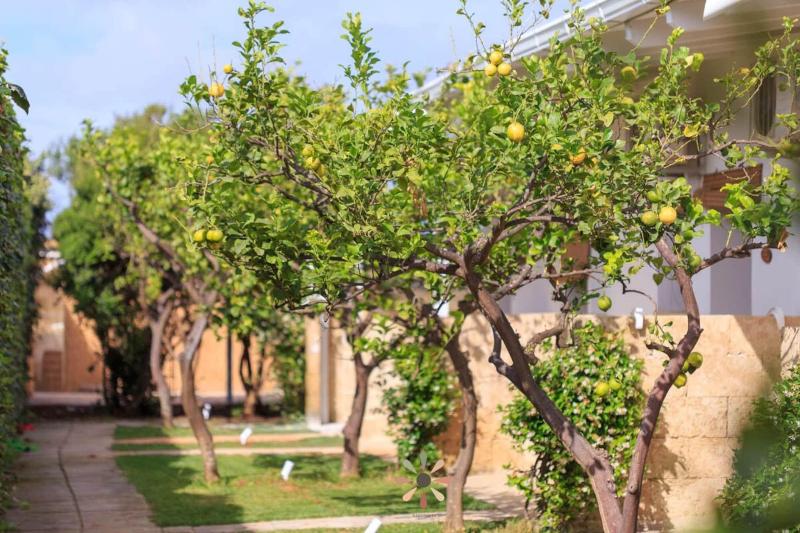 Tenuta Margherita - Genel