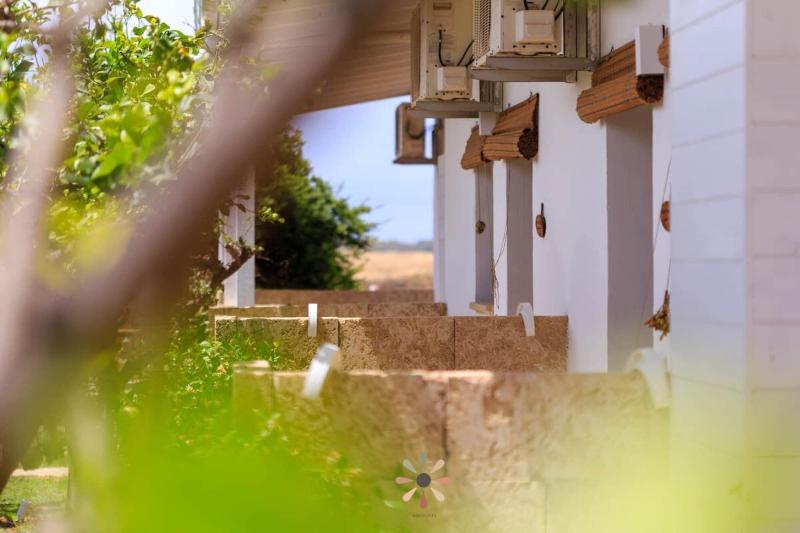 Tenuta Margherita - Genel