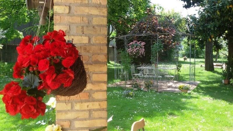 Fiori Di Maggio - Genel