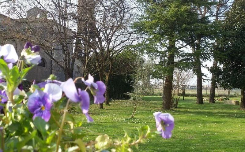 Fiori Di Maggio - Genel
