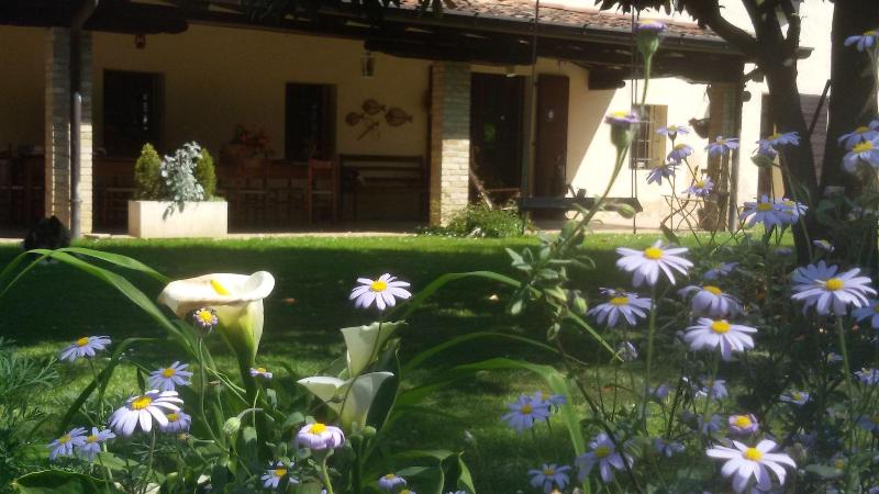 Fiori Di Maggio - Genel