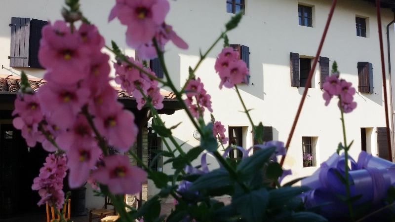 Fiori Di Maggio - Genel