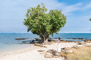 Sai Kaew Beach Resort Ko Samet fotoÄŸrafÄ±