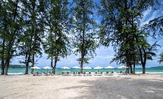 Amora Beach Resort Phuket fotoÄŸrafÄ±