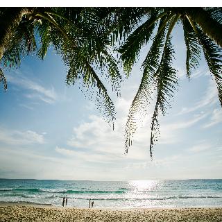Twinpalms Surin Beach Phuket fotoÄŸrafÄ±