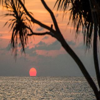Twinpalms Surin Beach Phuket fotoÄŸrafÄ±