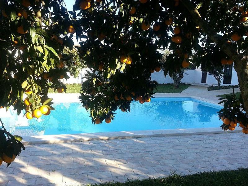 Casas Da Moagem Turismo Rural - Aktivite