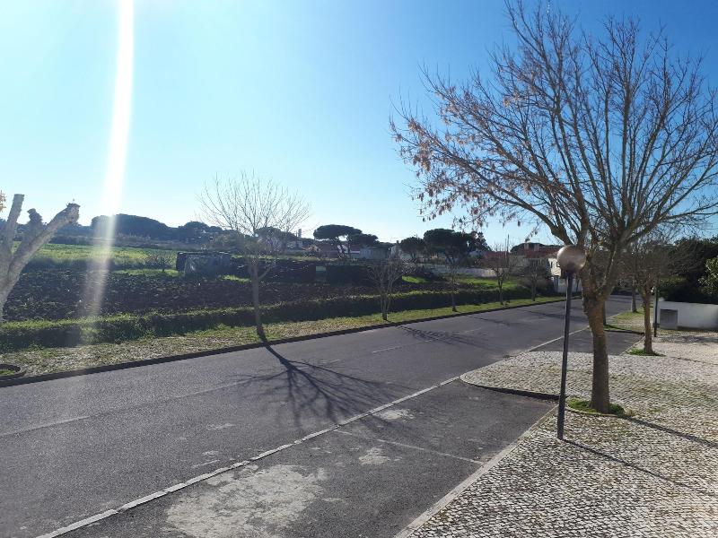 Serra E Mar - Genel