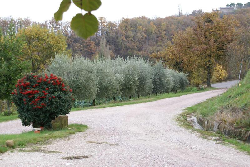 Agriturismo Fonte Chiara - Genel