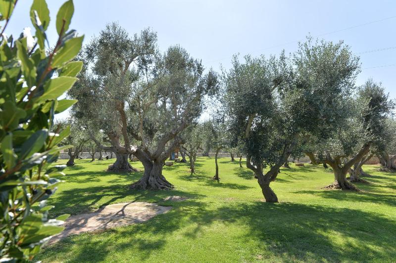 I Trulli Del Nonno Michele - Oda