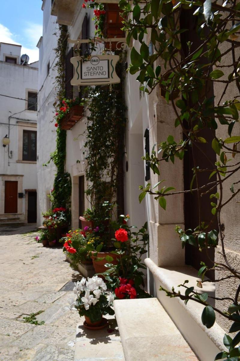 Santo Stefano - Genel