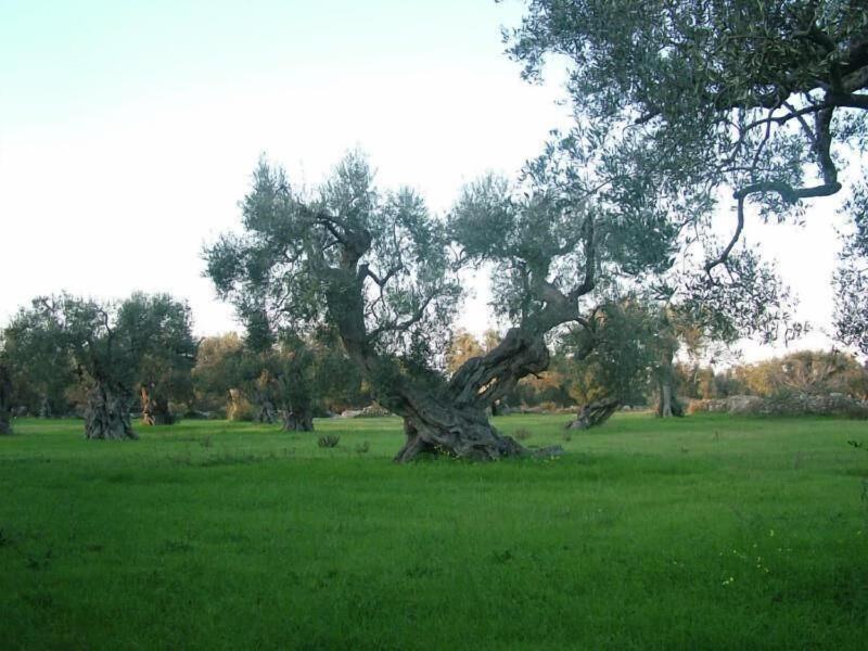 Albergo Del Santuario - Genel