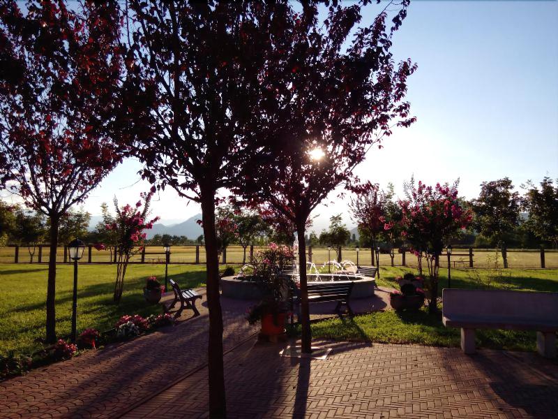 Tenuta Canta - Genel