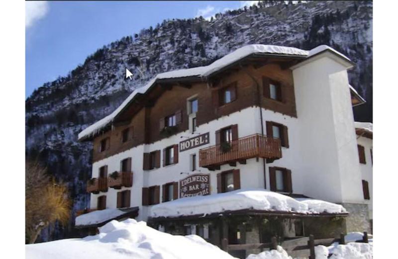 Hotel Edelweiss - Genel