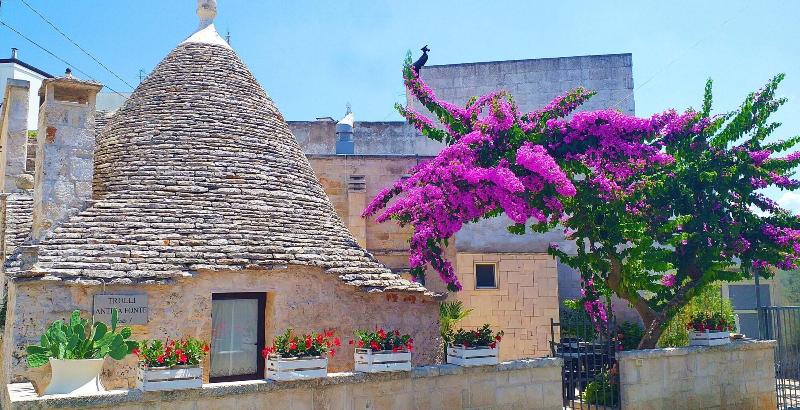 Trulli Antica Fonte - Genel