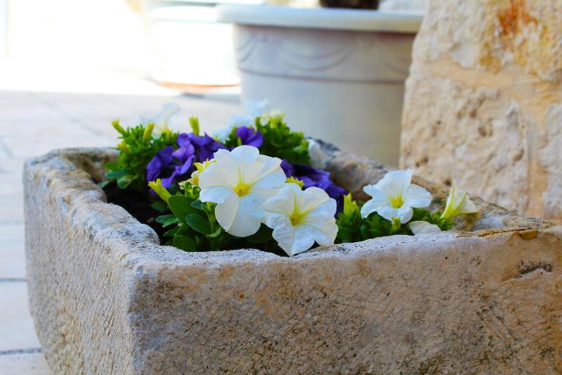 Trulli Antica Fonte - Genel