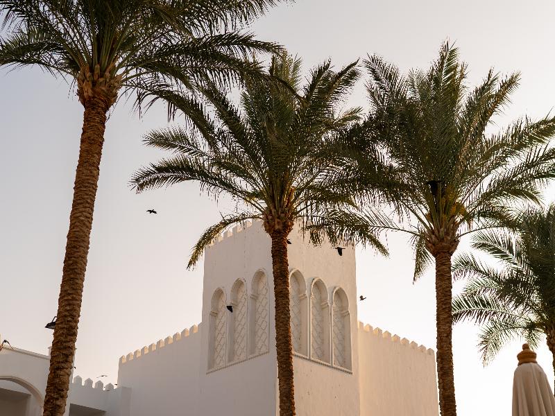 Baron Palms Sharm El Sheikh - Genel