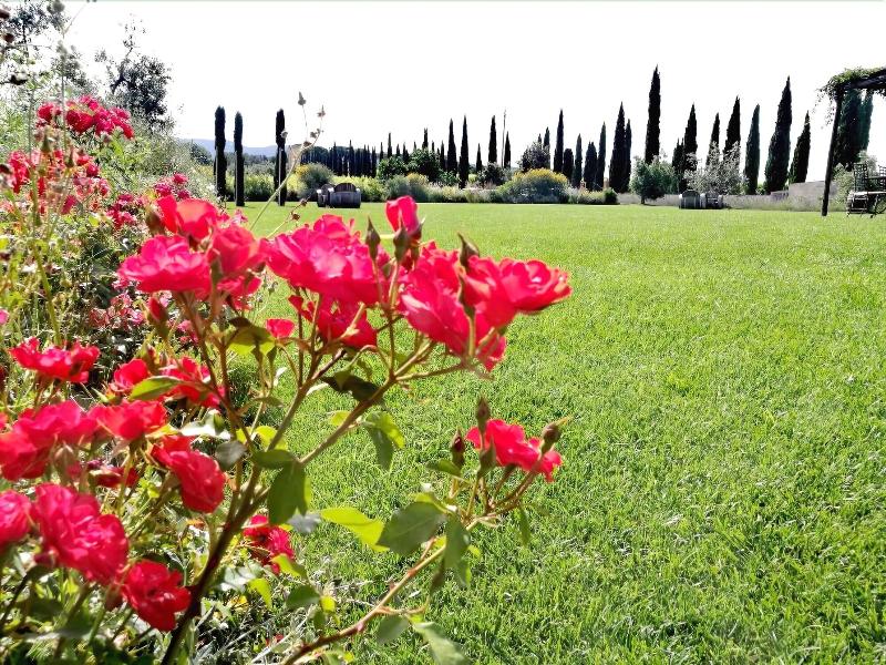 Locanda dell'Aioncino - Genel