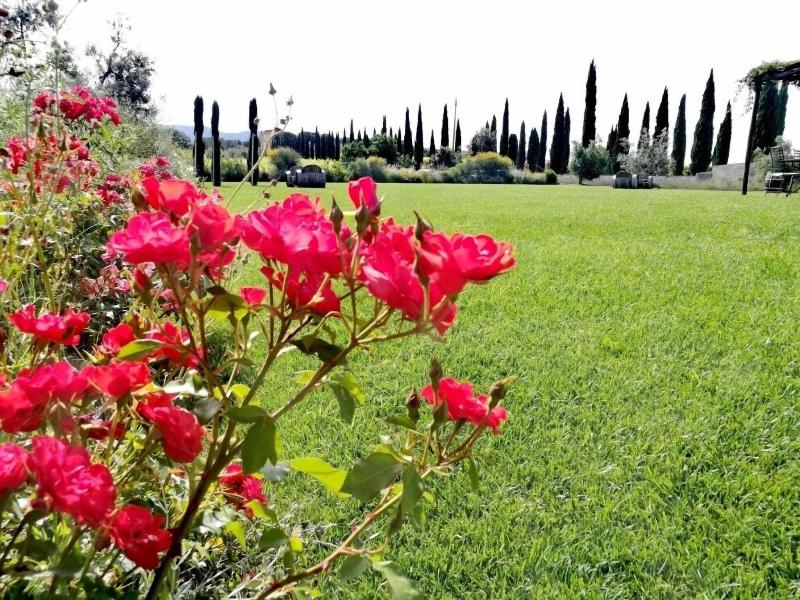 Locanda dell'Aioncino - Teras