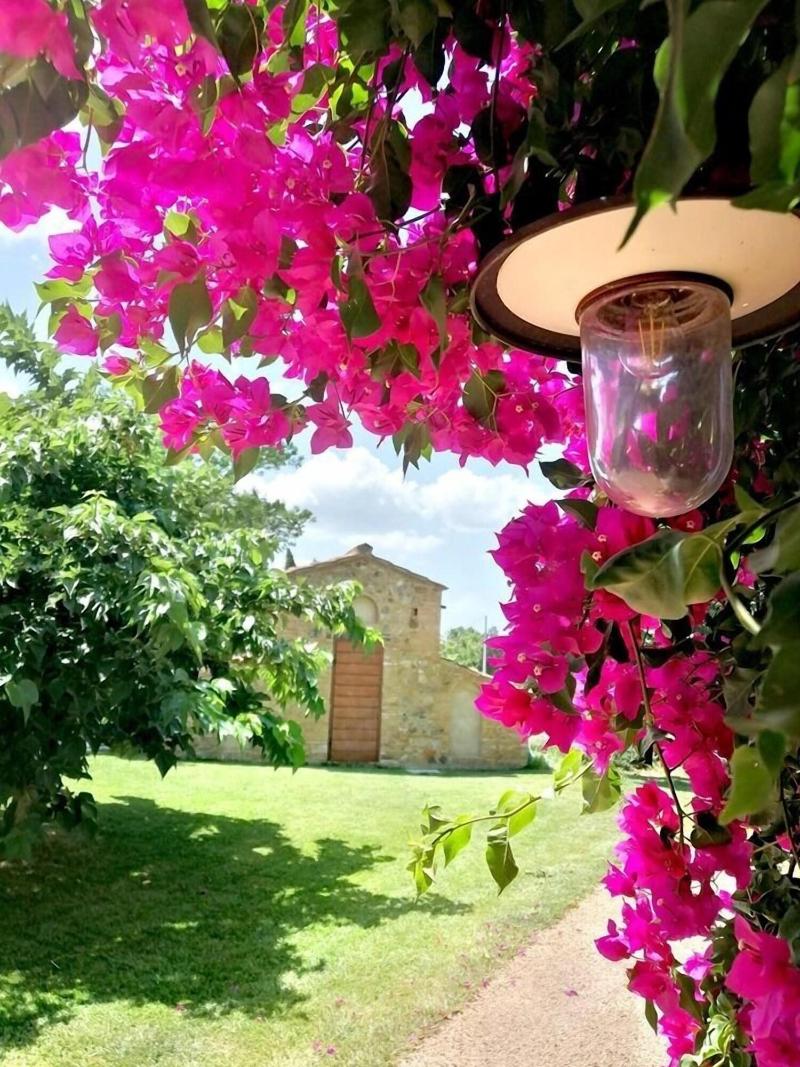 Locanda dell'Aioncino - Teras