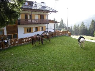 Hotel Piccolo Pocol fotoÄŸrafÄ±