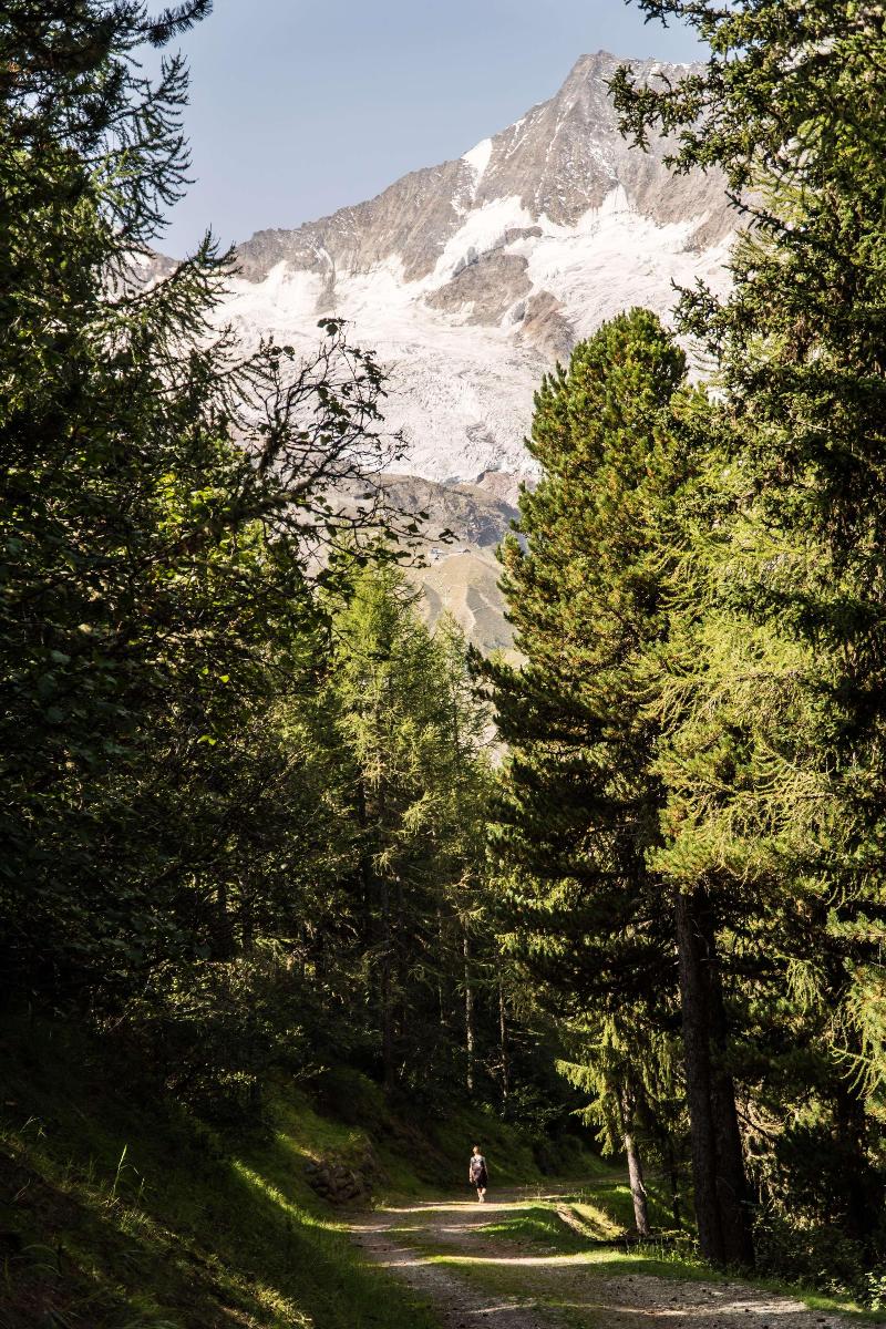 The Capra Saas-Fee - Genel