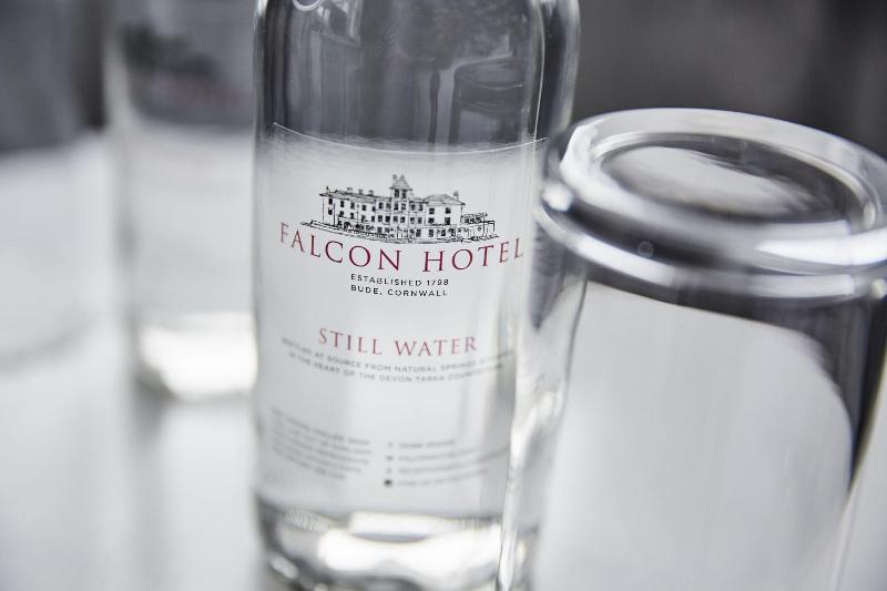 The Falcon Hotel - Oda
