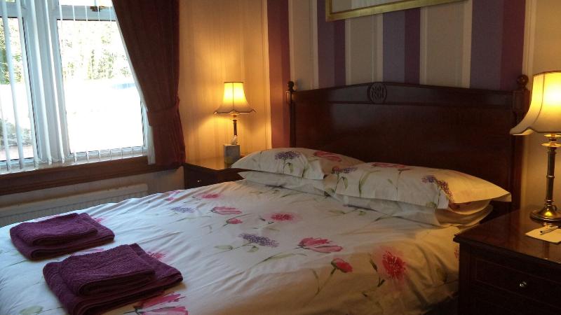 Acer Lodge Guest House - Oda