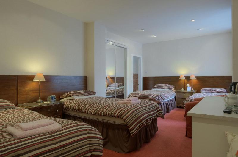 Acer Lodge Guest House - Oda