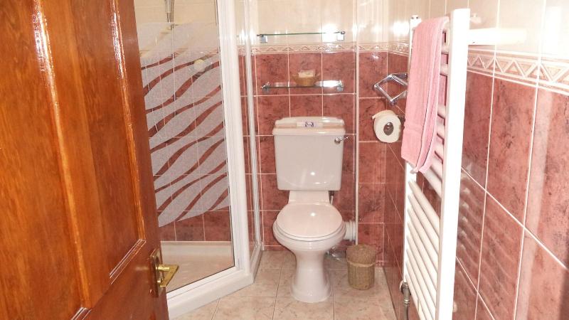 Acer Lodge Guest House - Oda