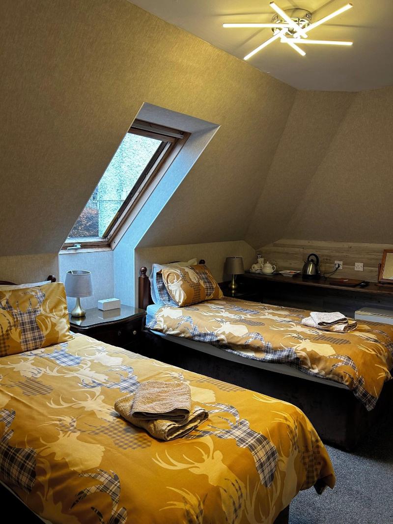 Acer Lodge Guest House - Oda