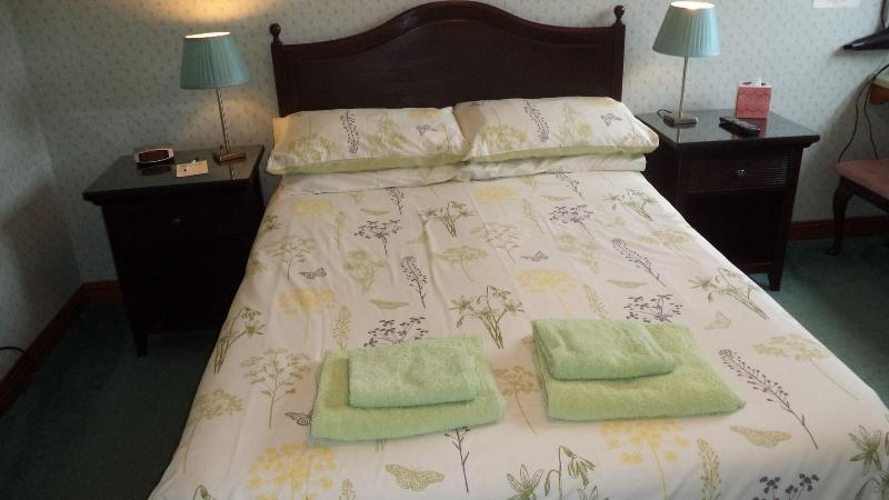 Acer Lodge Guest House - Oda