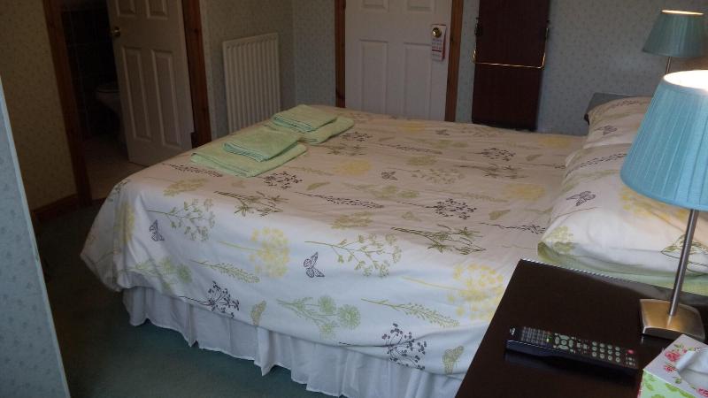Acer Lodge Guest House - Oda