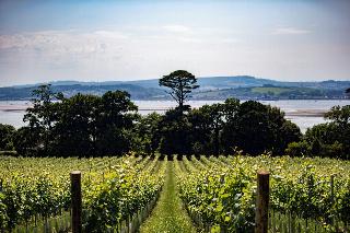 Lympstone Manor Hotel fotoÄŸrafÄ±