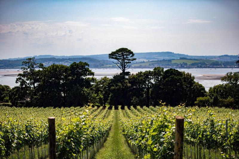 Lympstone Manor Hotel - Teras